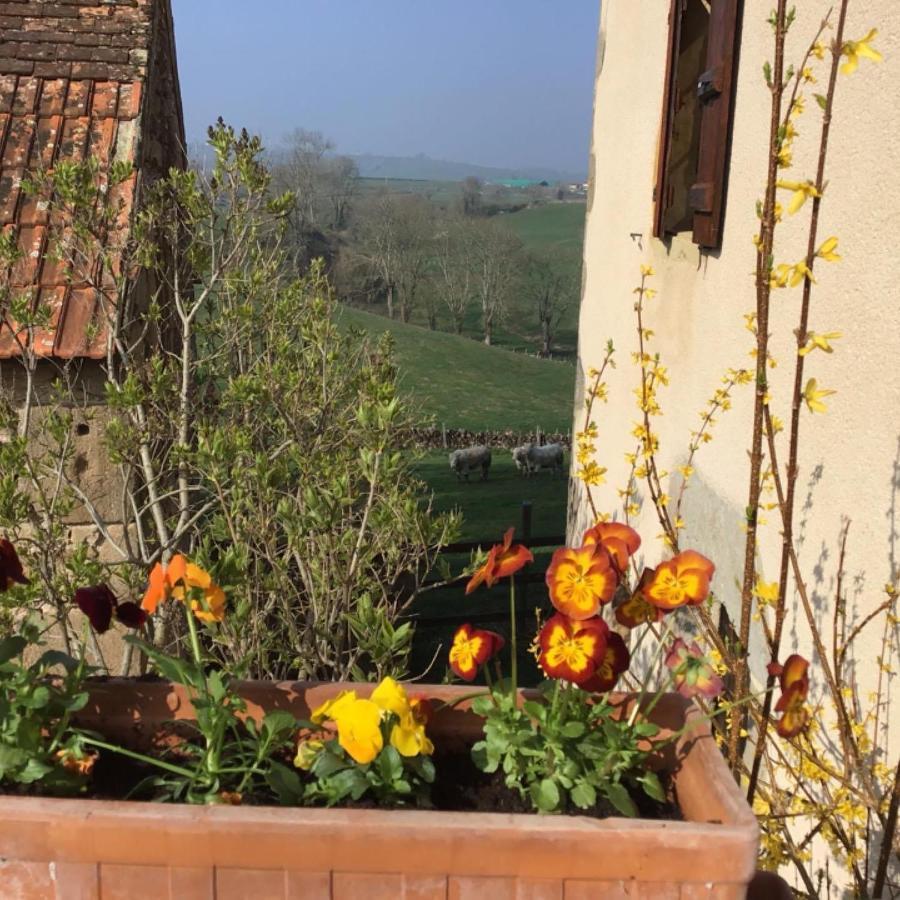 Oye Gite Le Mur Magnifique Longere Au Bourgogne-Du-Sud 빌라 외부 사진